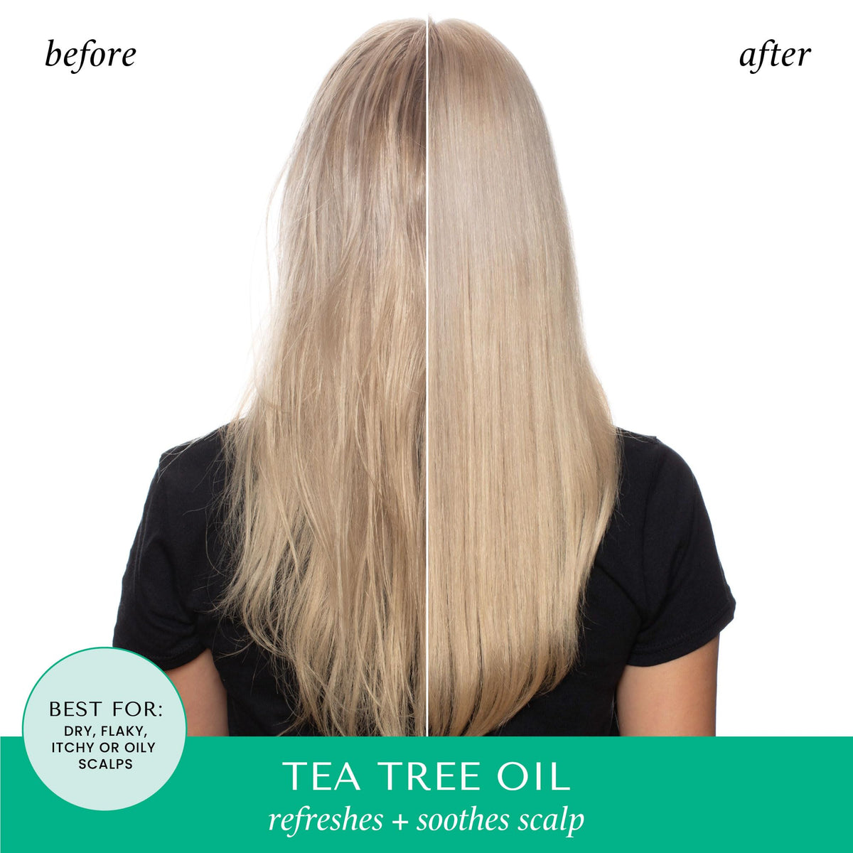 HASK Shampoo Tea Tree Oil & Romarin 12oz flacon