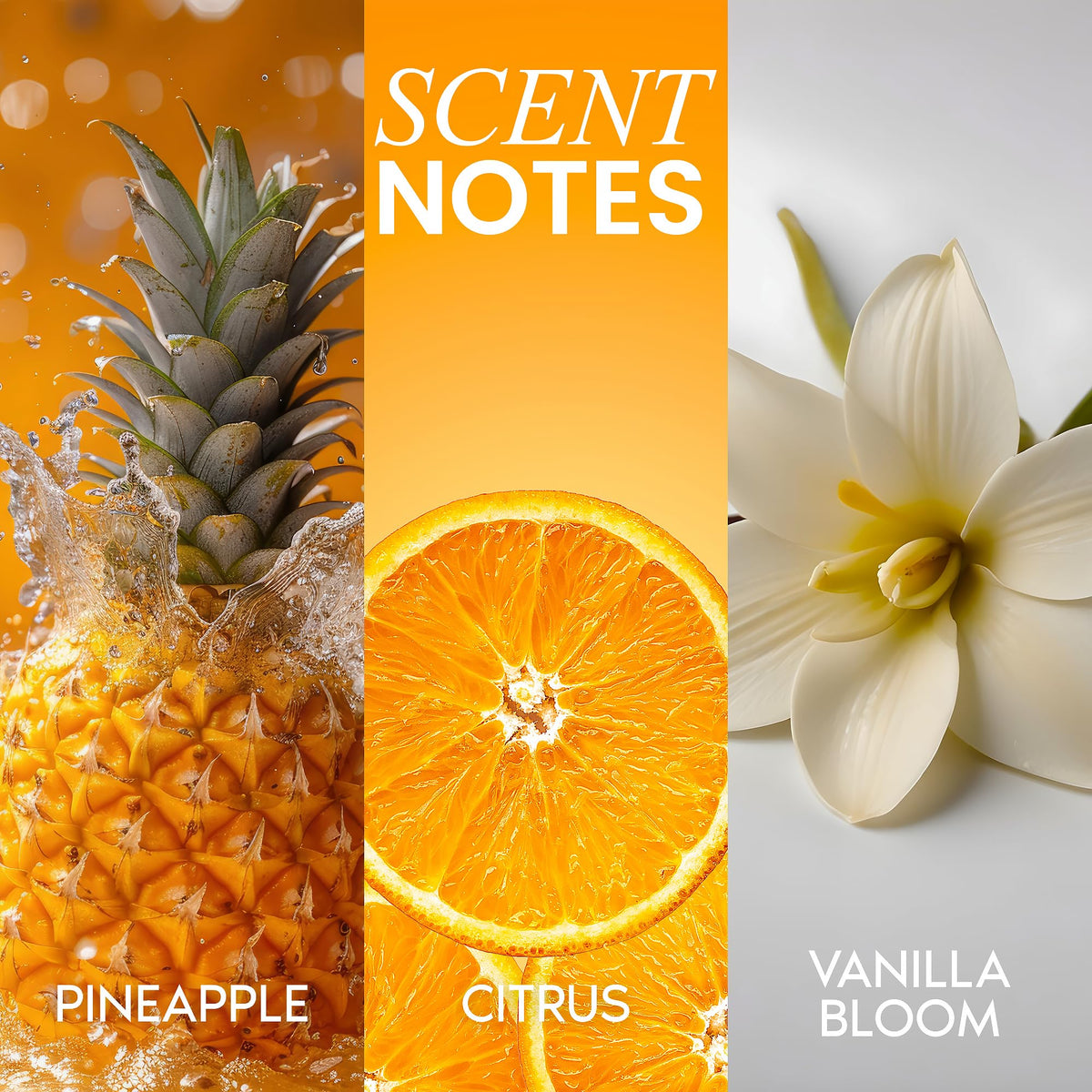 Her Fantasy Box Huile Corporelle Hydratante Ananas 249g avec ingrédients naturels