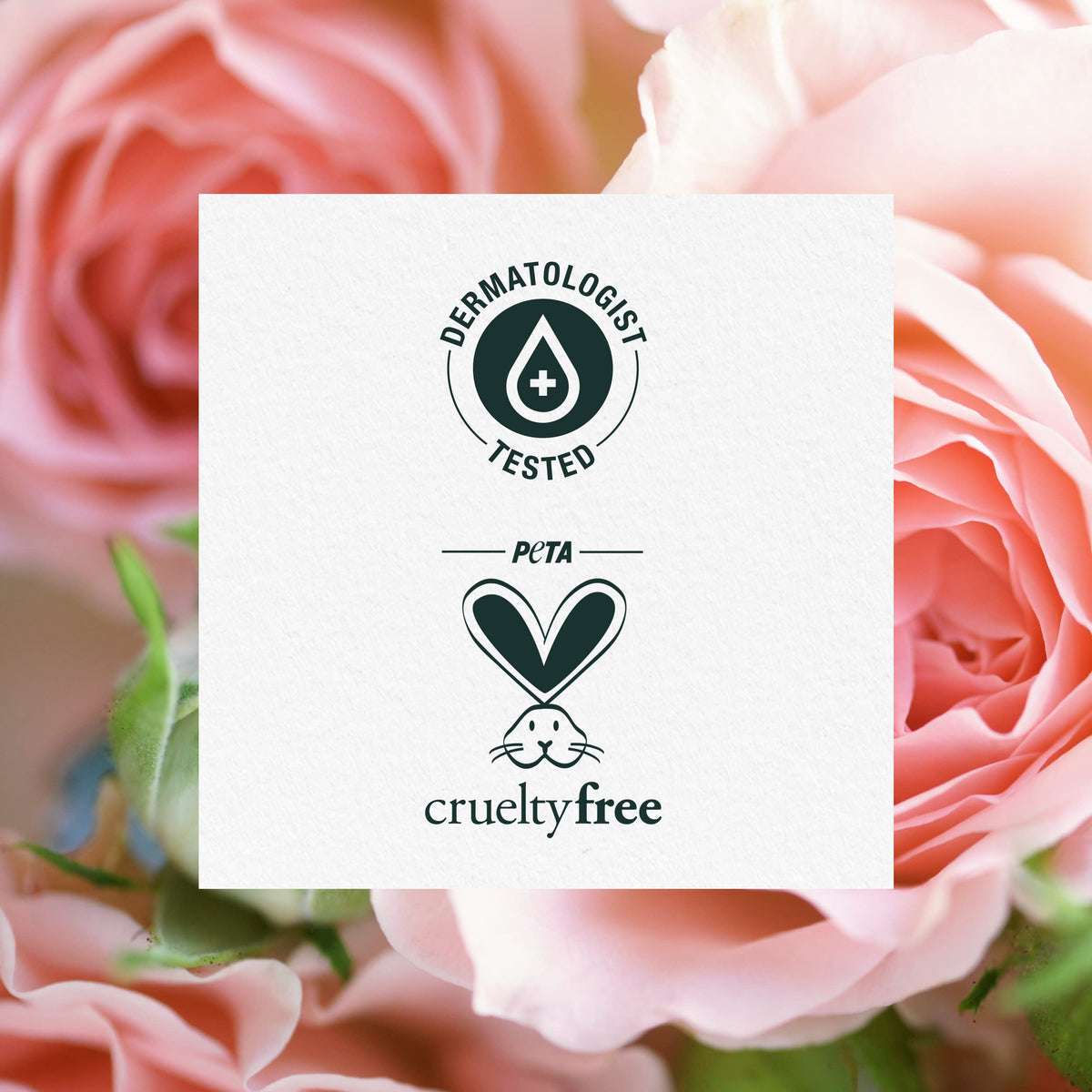 Herbal Essences Après-shampooing Smooth ingrédients naturels