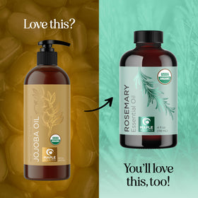 Huile de jojoba bio Maple Holistics pour un soin de la peau