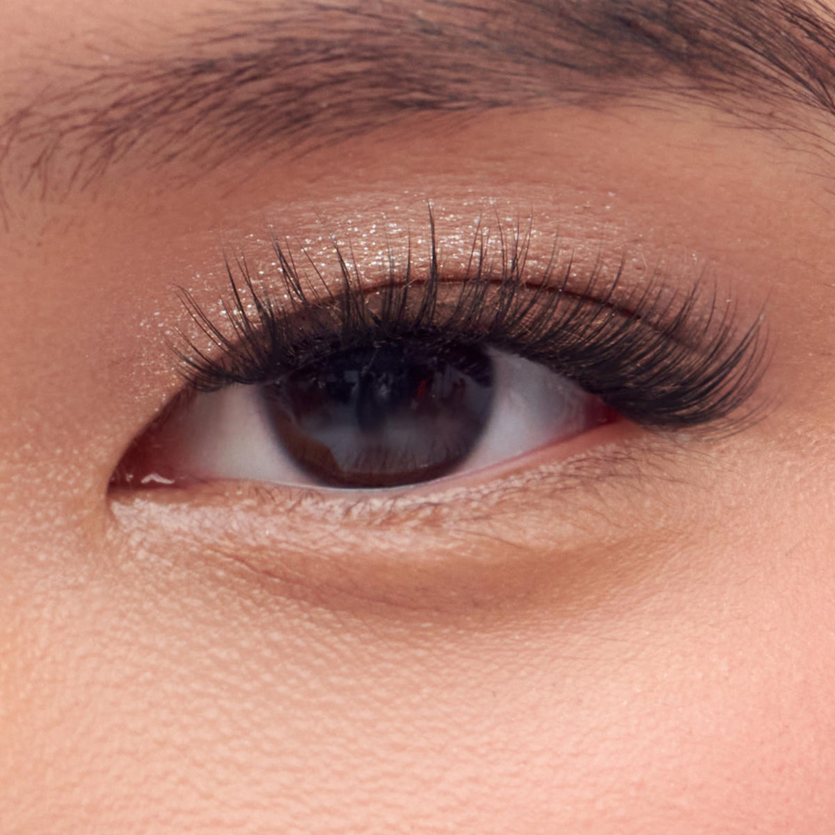 imPRESS Faux Cils Autocollants 12-14mm Détails des cils