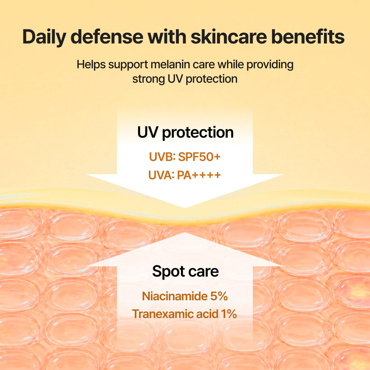 Ingrédients clés de la Crème Solaire celimax
