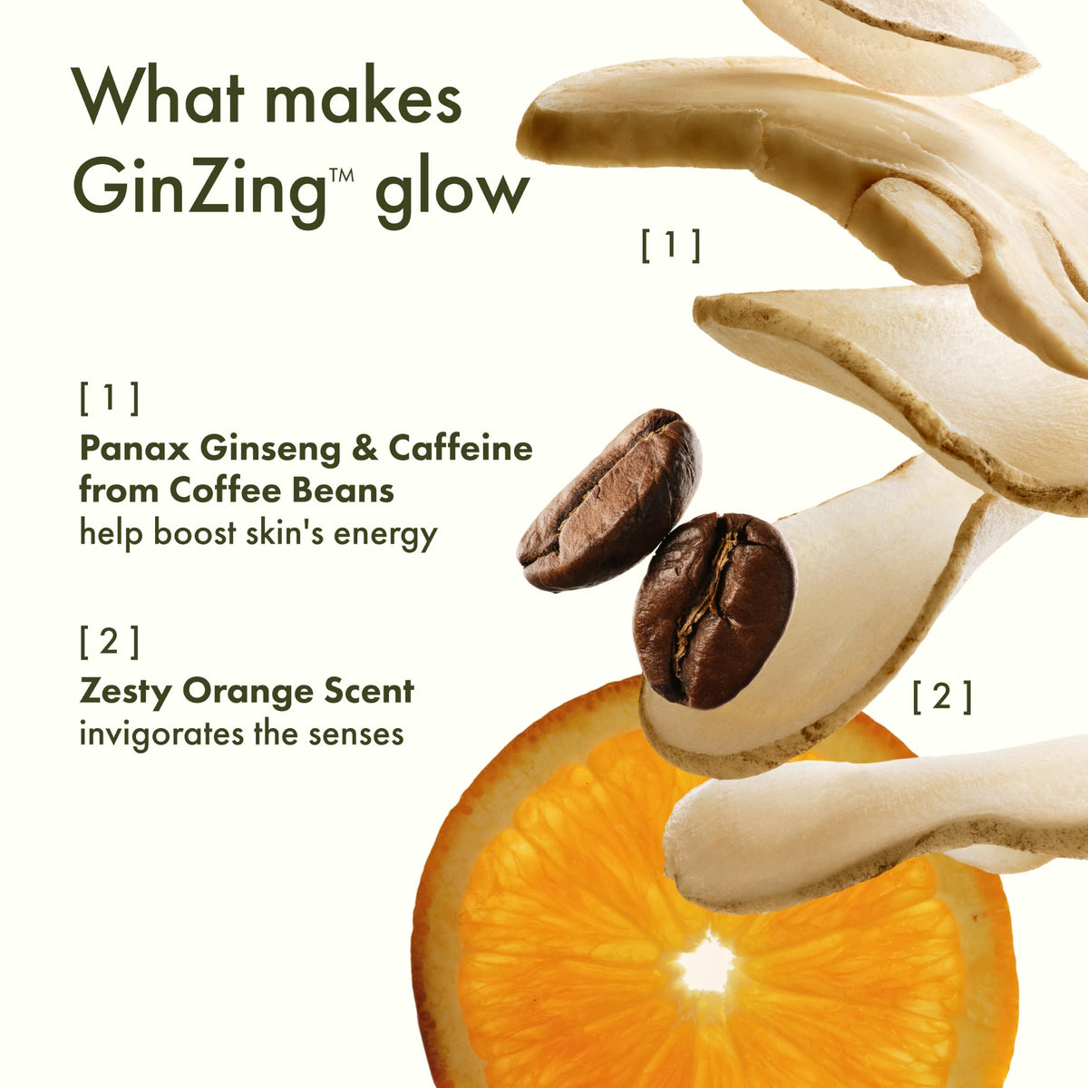 Ingredients clés du GinZing Hydratant Tanné