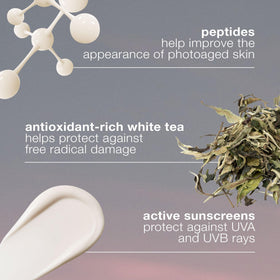 Ingrédients de Dermalogica Dynamic Skin Recovery SPF 50 crème hydratante