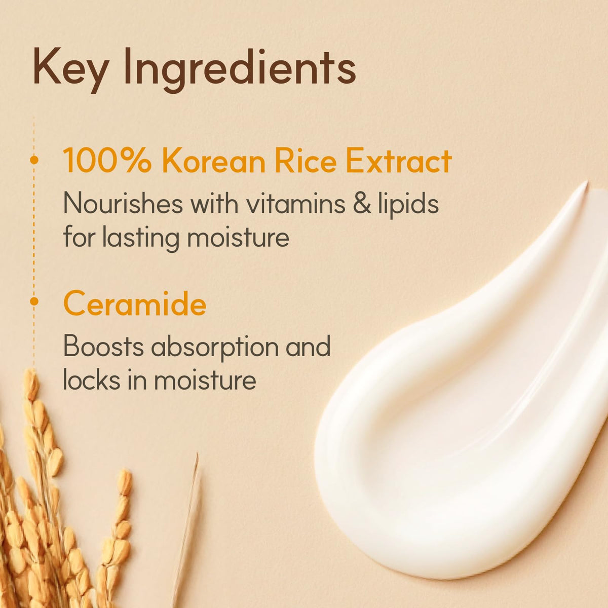 Ingrédients de la Crème de Riz Céramide, liste sur l'emballage
