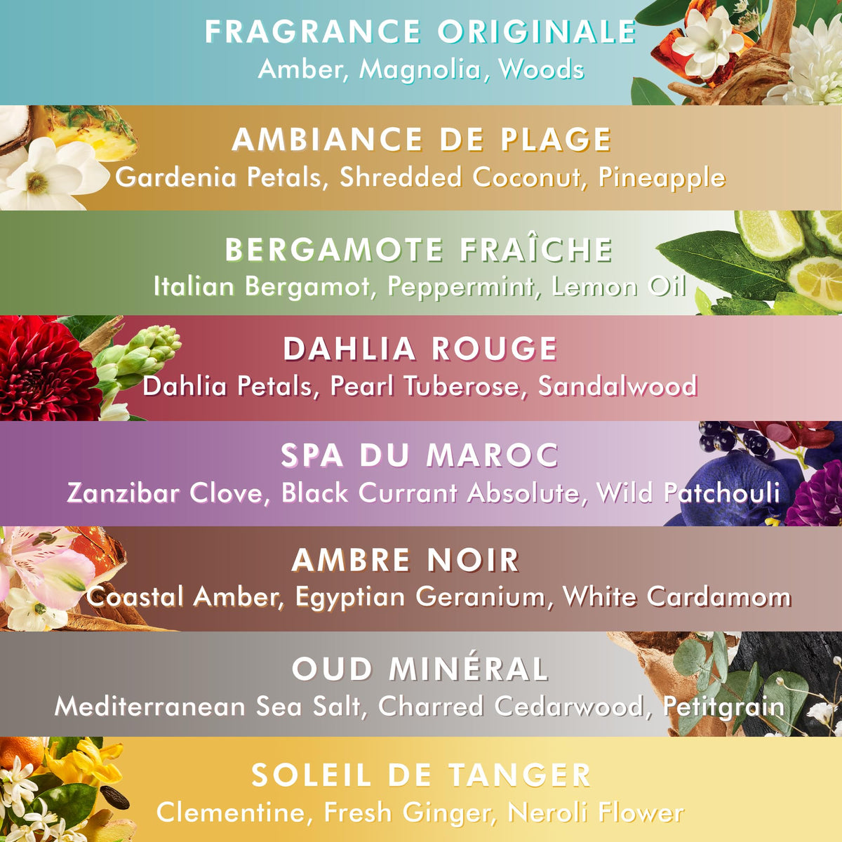 Ingrédients de la lotion pour le corps Moroccanoil