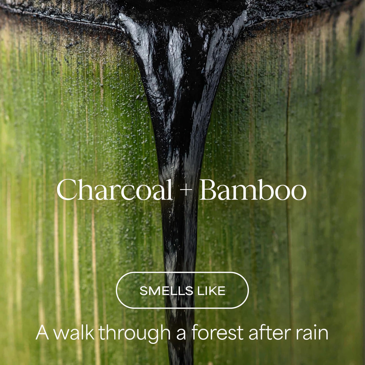 Ingrédients du gel douche Charcoal Bamboo RAW SUGAR