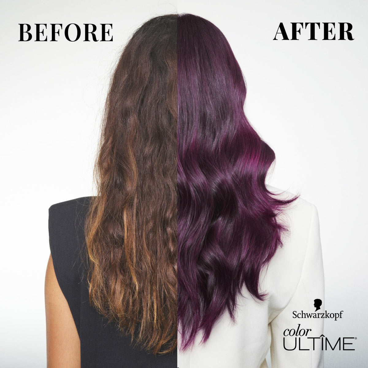 Ingrédients du kit Schwarzkopf Color Ultime 4.3