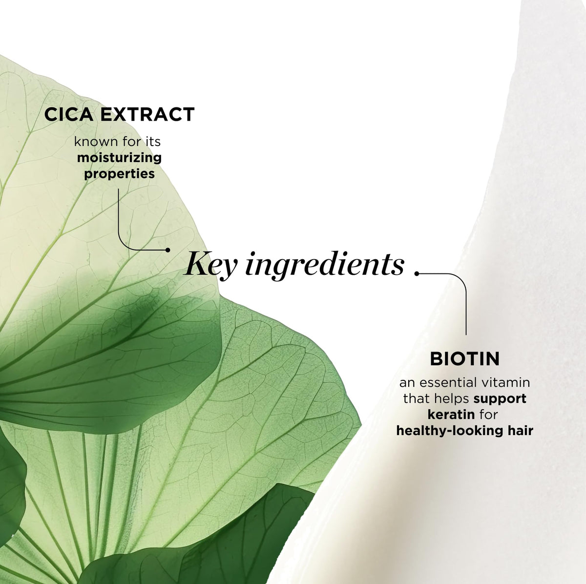 Ingrédients du shampooing Dr. Groot, biotine et cica