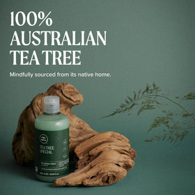 Ingrédients du Shampooing Spécial Tea Tree sur l'étiquette