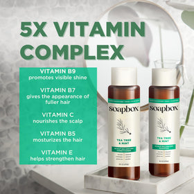 Ingrédients du shampooing Tea Tree de Soapbox, incluant menthe et thé vert