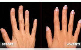 Ingrédients du Traitement Hydratant Quotidien Perfect Formula