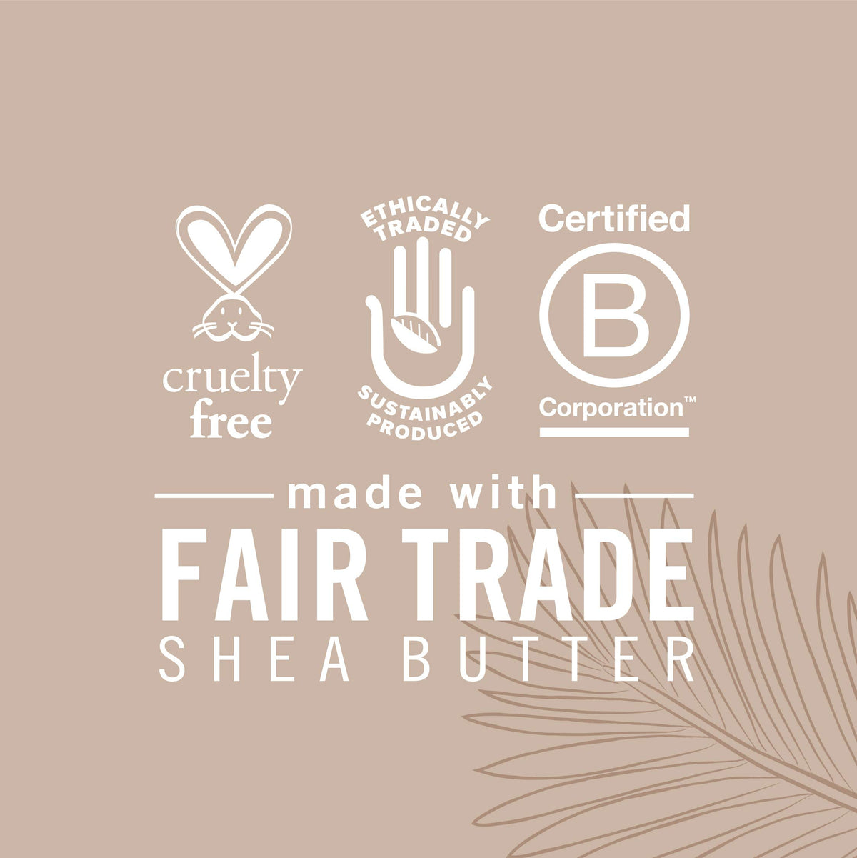 Ingrédients naturels de la lotion Shea Moisture