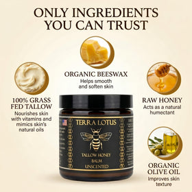 Ingrédients naturels du Baume Tallow Terra Lotus
