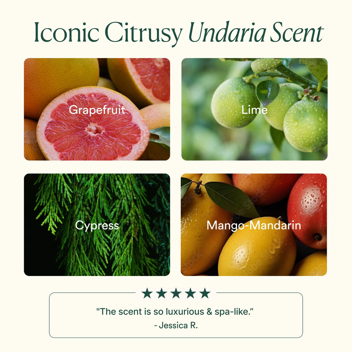 Ingrédients naturels du gel douche OSEA
