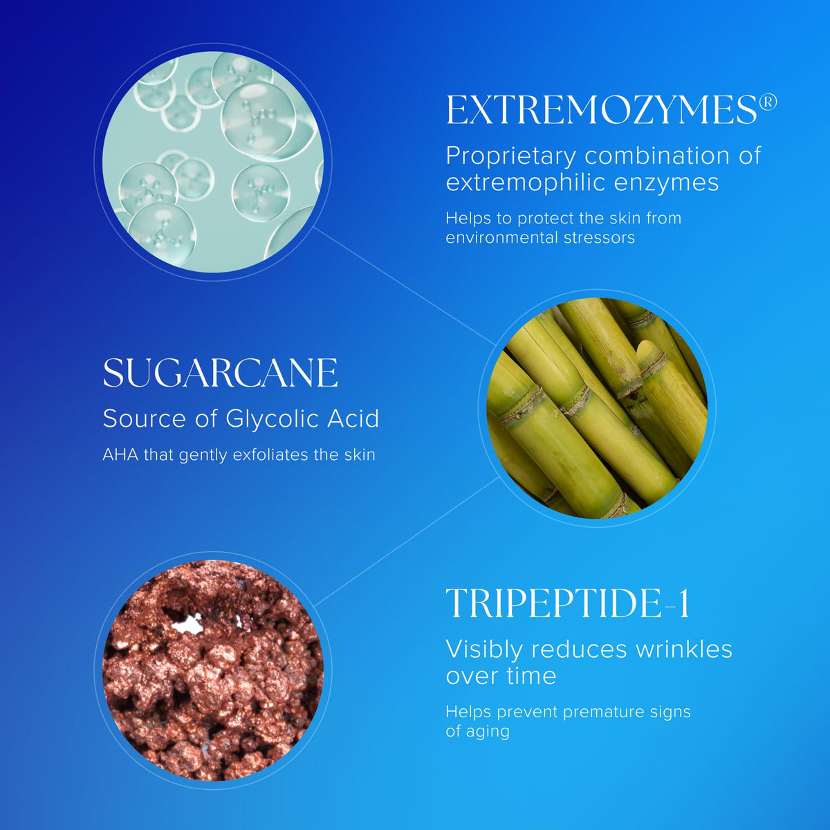 iS CLINICAL Active Peel System ingredients list