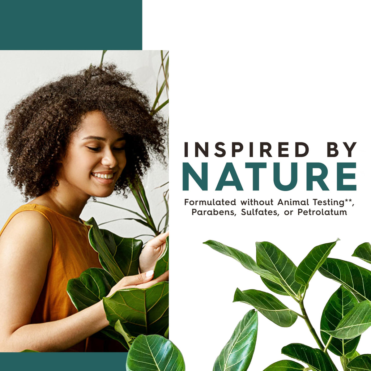JASON Gel Douche Purifiant au Tea Tree 990g avec ingrédients naturels