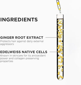 KÉRASTASE Shampooing Nutri-Fortifiant 290g en usage
