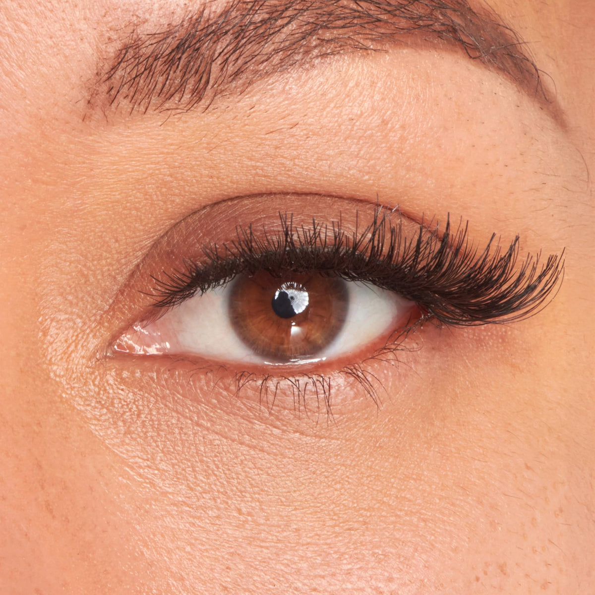 KISS Faux Cils Pompadour 16mm dans l'emballage