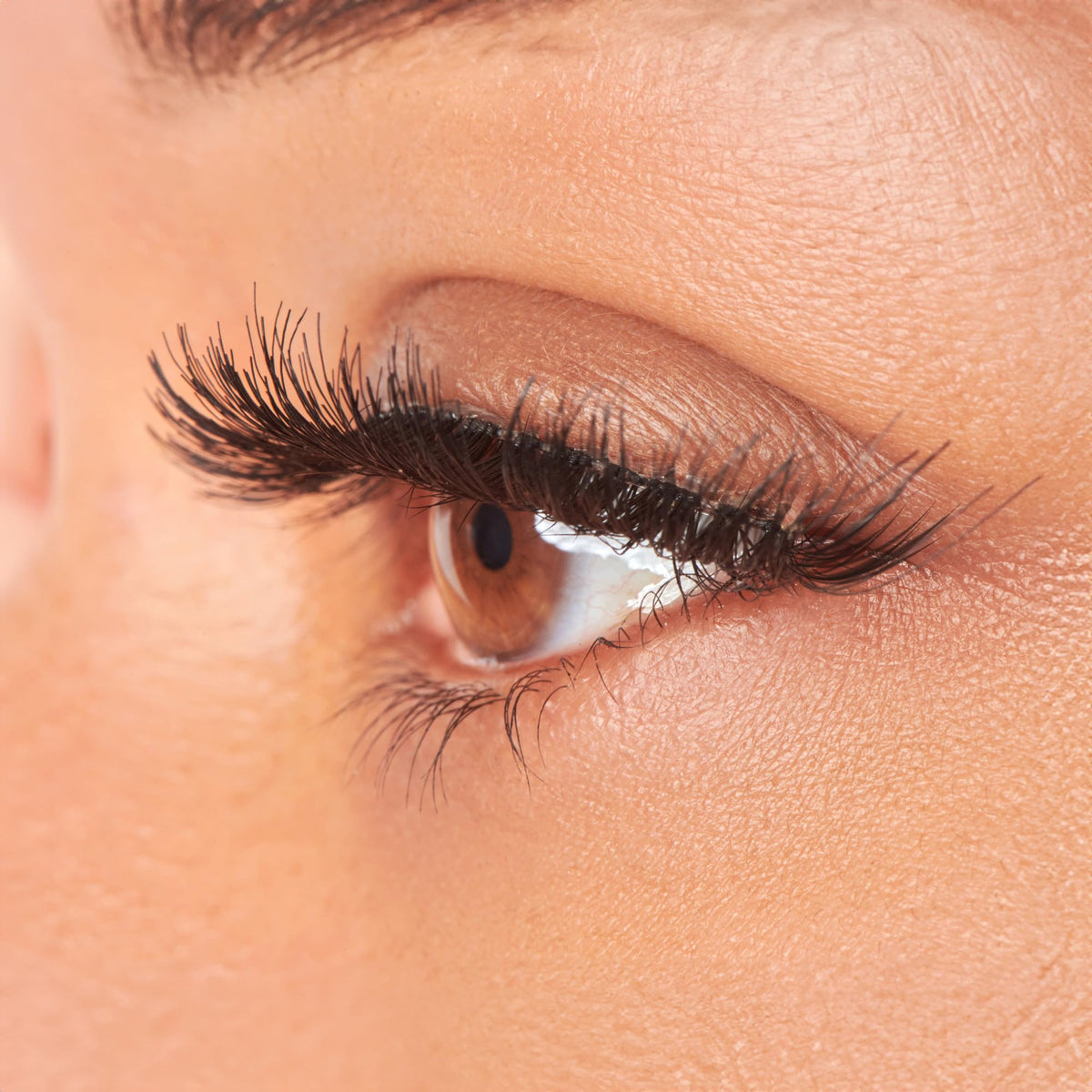 KISS Faux Cils Pompadour 16mm présentés avec application