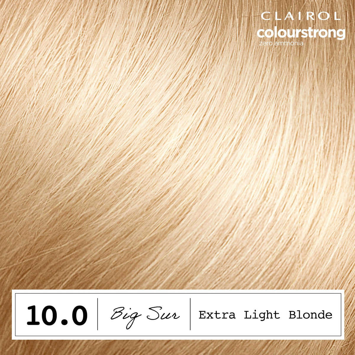Kit de teinture Clairol ColorStrong avec tous les accessoires inclus