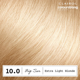 Kit de teinture Clairol ColorStrong avec tous les accessoires inclus