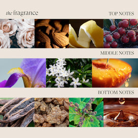 L’ANZA Huile de Kératine Conditionneur en utilisation