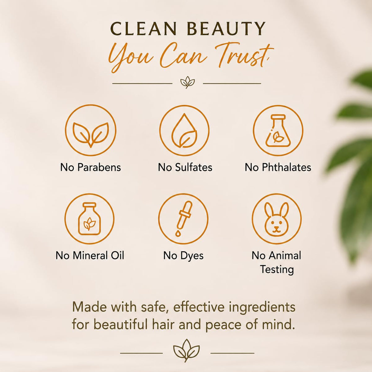 L'après-shampoing Coco Mango Ginger Lily Farms sur une étagère