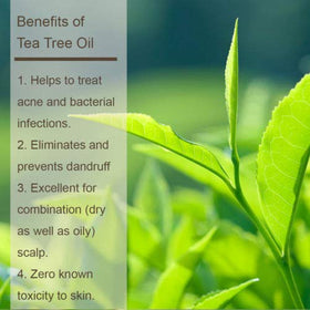 L LUSETA Shampoo et Après-Shampooing Tea Tree avec ingrédients naturels