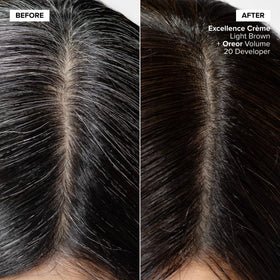L'OREAL TECHNIQUE Excellence Crème Coloration Cheveux Brun Foncé emballage