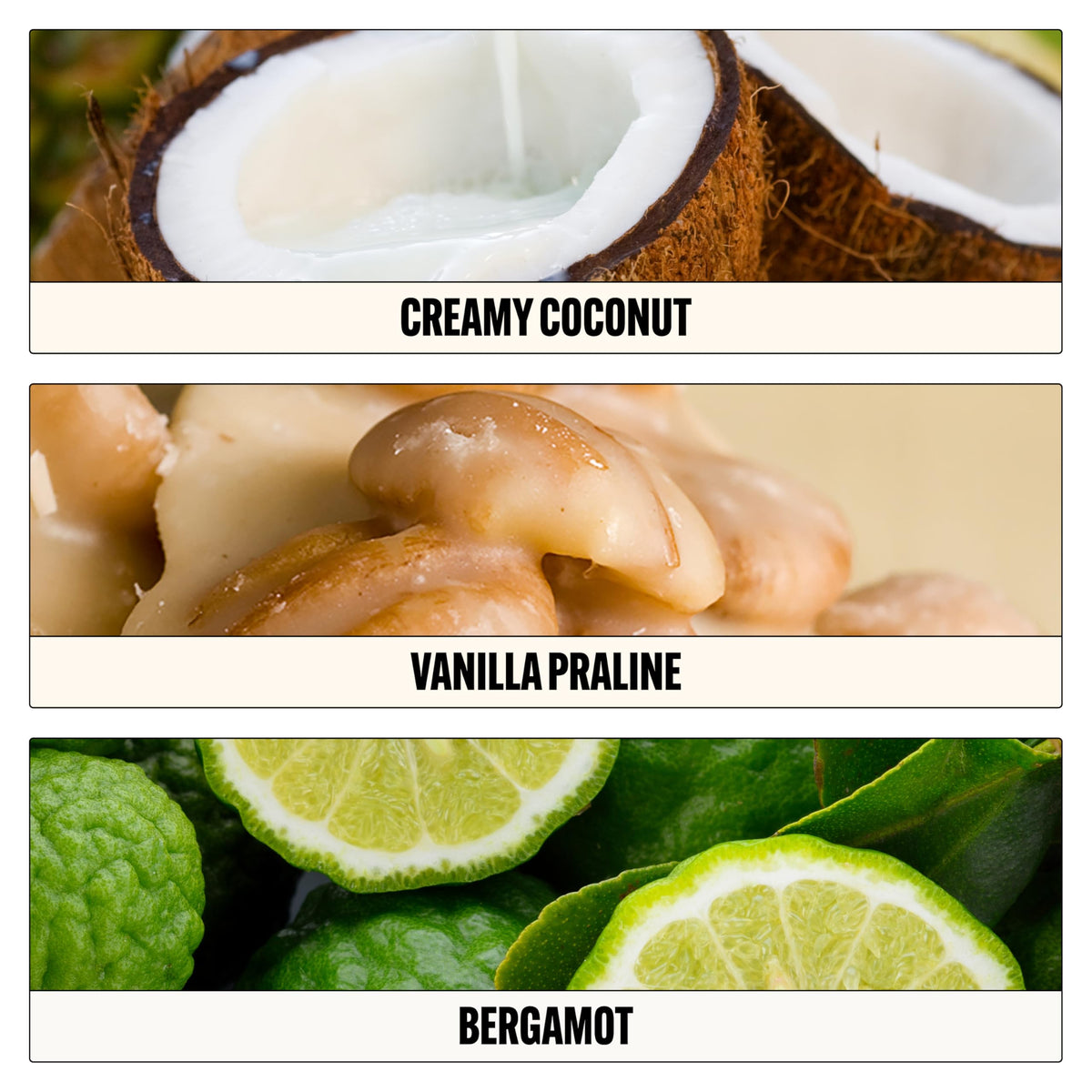 Lait de Coco Eau de Parfum 30 ml avec étiquette et bouchon