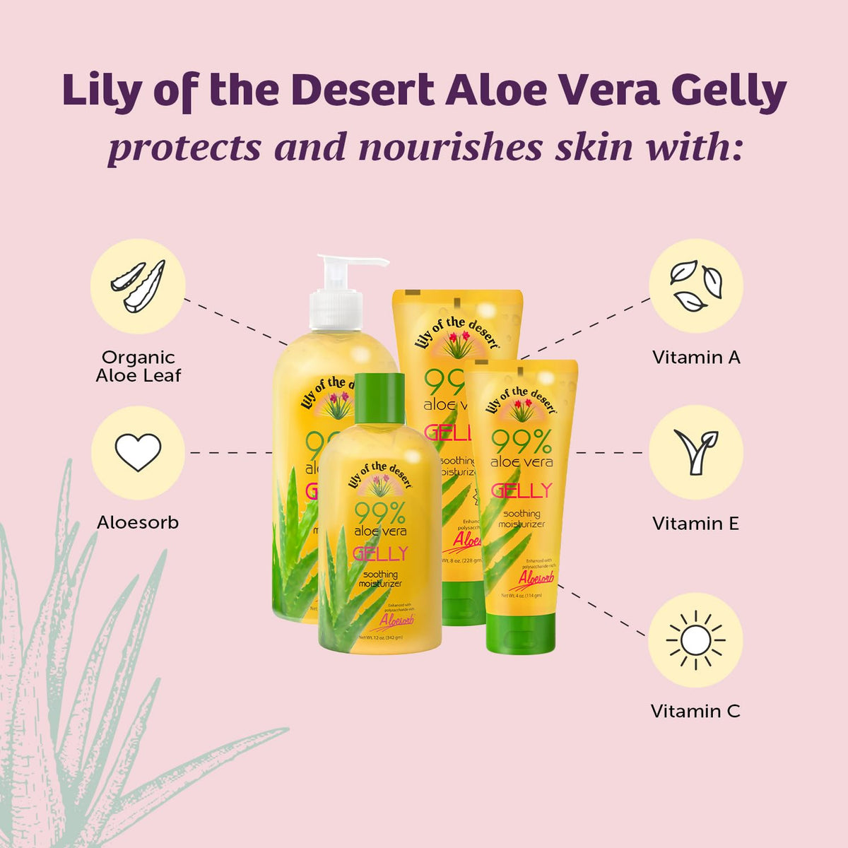 Lily Of The Desert Gelly Moisturizer Aloe Vera application on skin