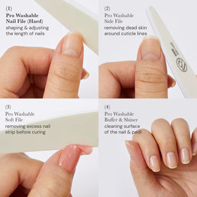 Lime à Ongles ohora avec description de ses caractéristiques
