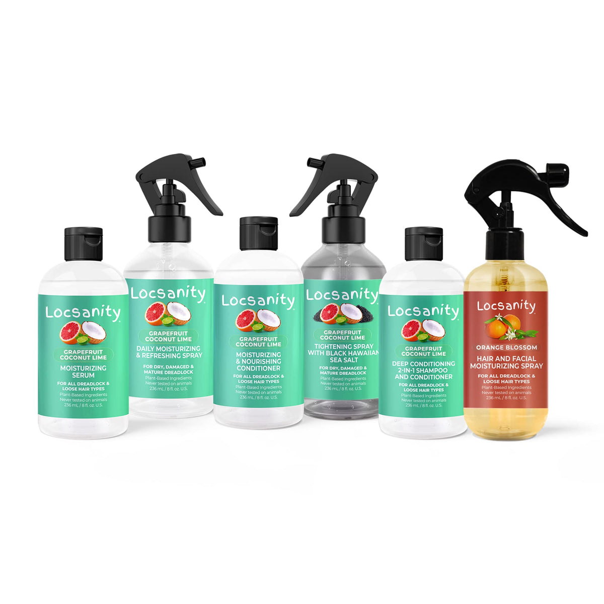 Locsanity Ensemble Loccare avec shampooing et après-shampooing