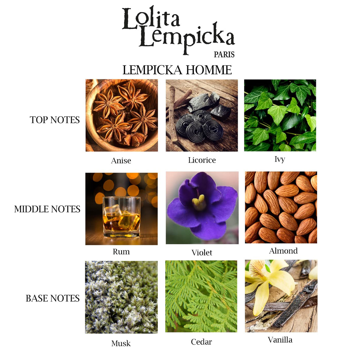 Lolita Lempicka Homme Eau de Toilette 50 ml flacon dans un cadre élégant