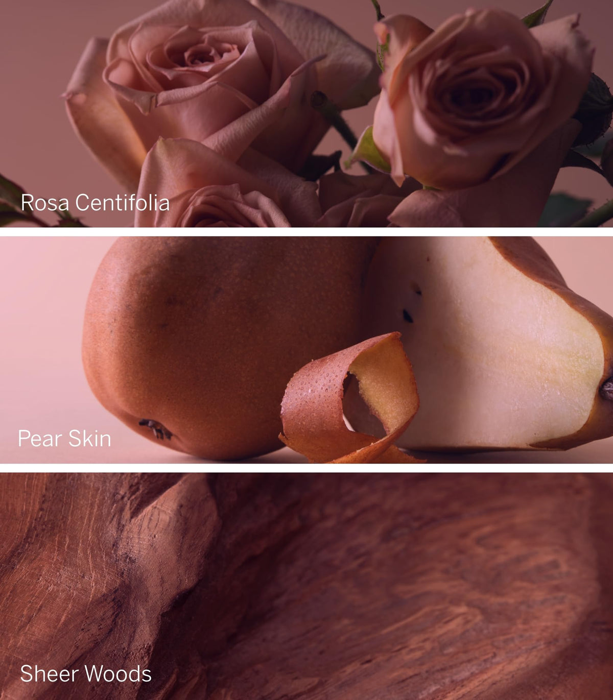 Lotion parfumée Bare Rose sur une surface en bois