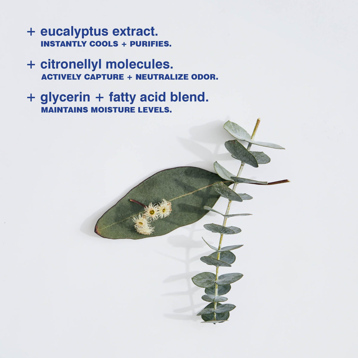 MALIN+GOETZ Déodorant Eucalyptus 2,6 fl oz montrant les ingrédients