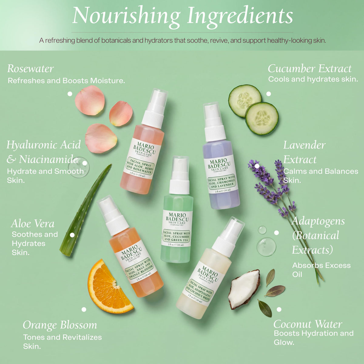 Mario Badescu brume visage Aloe, Herbes et Eau de Rose, flacon avant