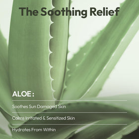 Masque en tissu LAPCOS Aloe Vera avec extrait d'Aloe