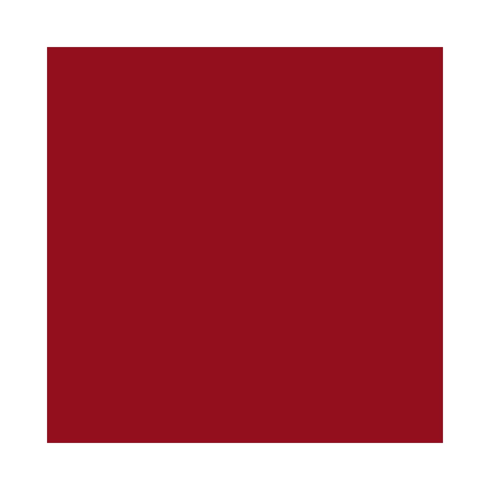 MAYBELLINE Super Stay Vinyl Ink Rouge à Lèvres Cranberry Red avec applicateur