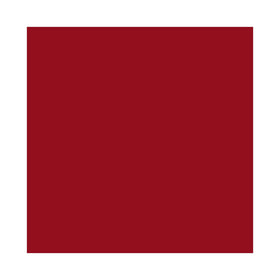 MAYBELLINE Super Stay Vinyl Ink Rouge à Lèvres Cranberry Red avec applicateur