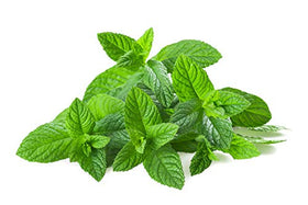Menthe poivrée et huile essentielle US Organic sur table en bois