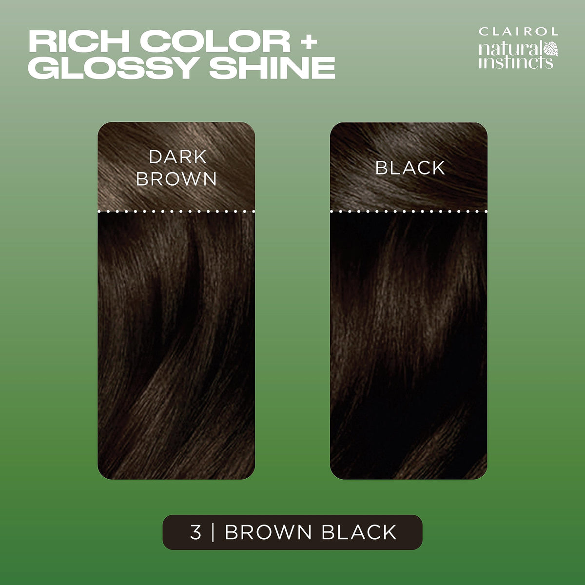 Mode d'emploi de la teinture Clairol avec étapes d'application