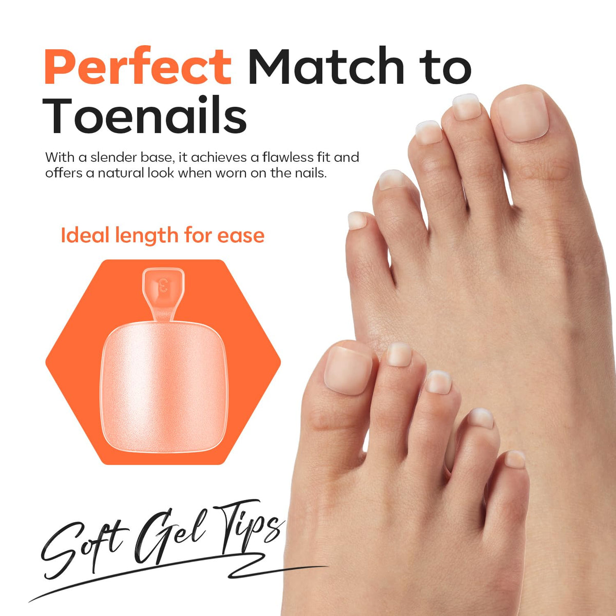 modelones Tips d'Ongles de Pied avec 15 tailles différentes