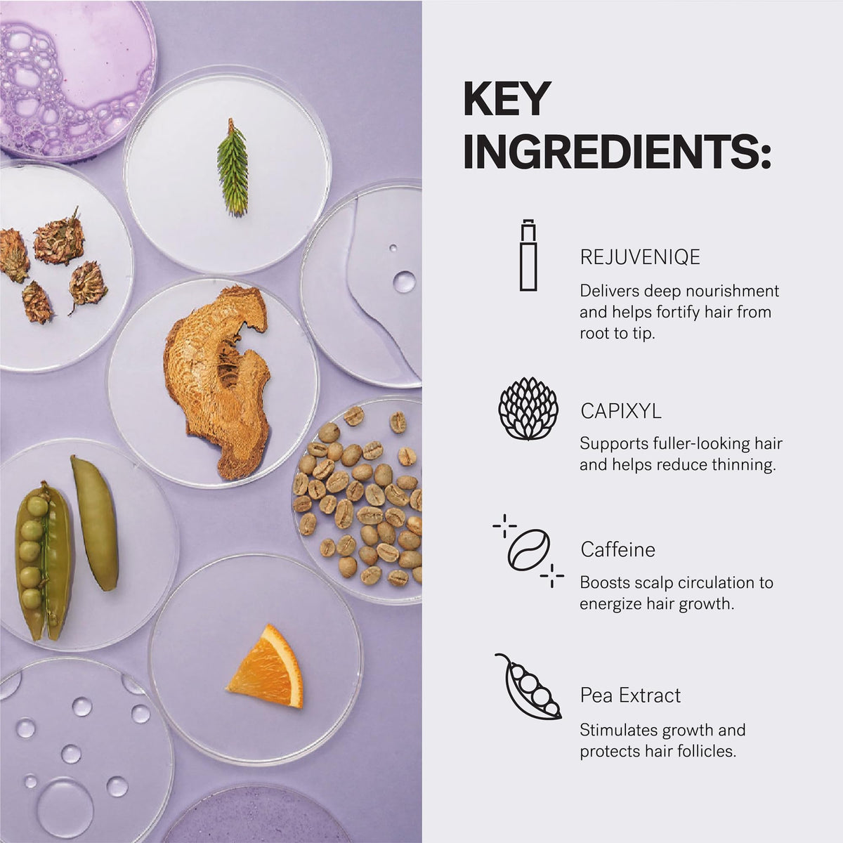 MONAT IR Clinical System kit with ingredients list