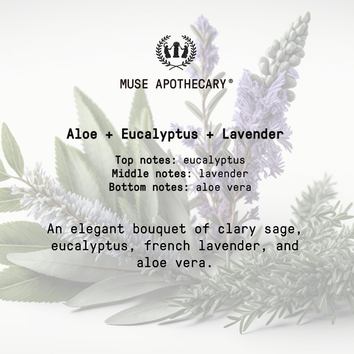 Muse Apothecary Rituel des Mains savon moussant dans un décor de salle de bain