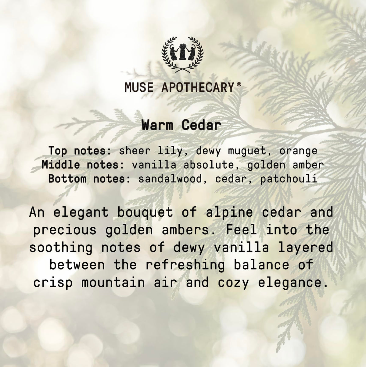Muse Apothecary Rituel Mains savon cèdre chaud avec accessoires