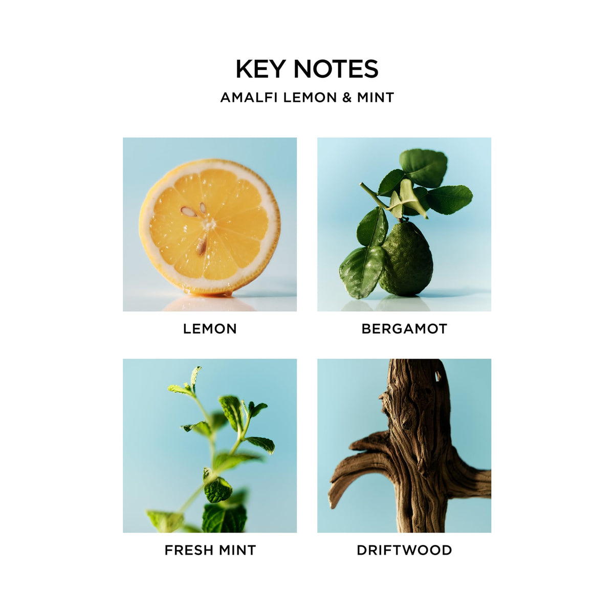 NEST New York Savon Liquide Amalfi Citron & Menthe étiquette et détails