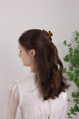 OideGuiing clips tortie sur fond neutre