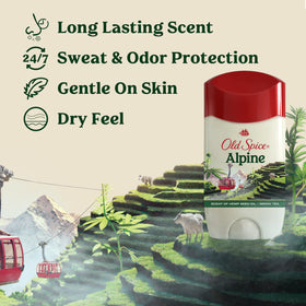 Old Spice Déodorant Antitranspirant Homme Alpine 390g vue arrière
